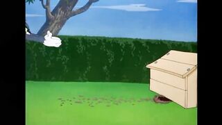 tom and jerry cartoon/kides animation/#funny cartoon