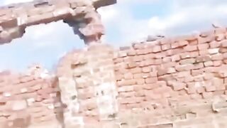 Viral Funny