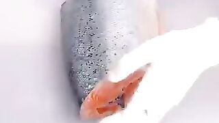 Knife skills how cut the fish