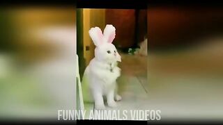 Funny