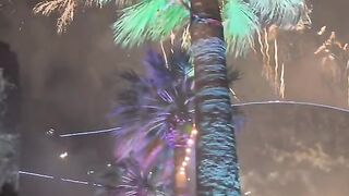 Happy new year in Austalia