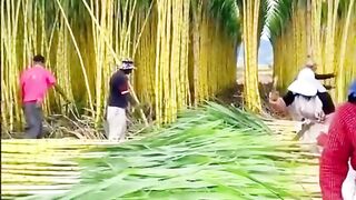 Farming skills | Farmers Working| Natural Fields