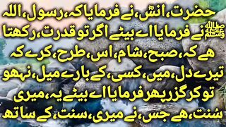 Hadees No 2