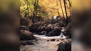 NATURE IS A LOVELY THING