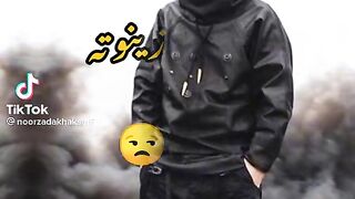 Shayeri