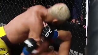 UFC free style Boxing