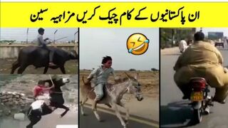 World Most funny videos don't Laugh while watching this
