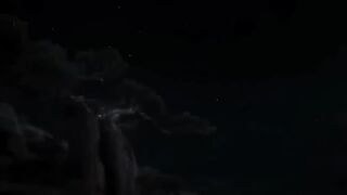 The lion king Part 2