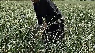 Sorry uncle