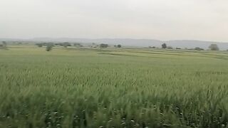 My green village please share like coment subscribe