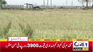 Wheat Price Fixed By Punjab Government - 10pm News