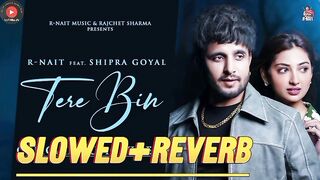 Tere Bin - R Nait & Shipra Goyal (slowed reverb) Punjabi song