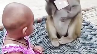 Mobile monkey
