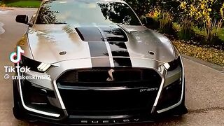 Ford shelby