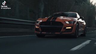 FORD LOVERS