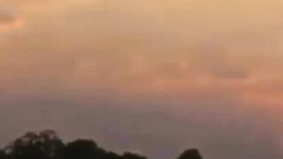 Can Eagle Attack King Lion