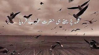 Hazrat umar bin khataab R.A