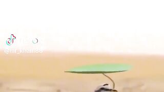 Funny