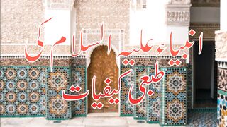 Prophet`s Physical Properties.