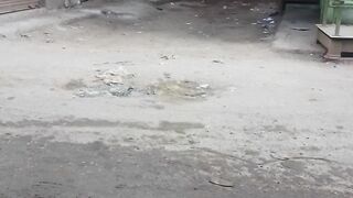 اهمال