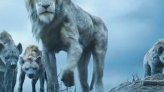 Lion scene