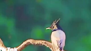 Beautiful picture