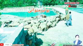 Village views buner peshawar