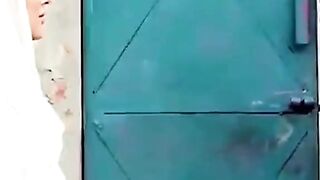 Funny Video 1 of the best video