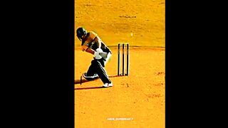 Cricket ????