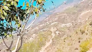 Kashmir