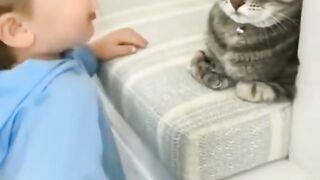 funny cat
