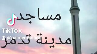 مساجد مدينة تدمر
