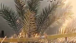 جامعہ دارالعلوم جیوانی