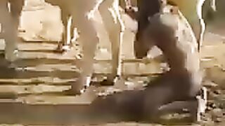 Real video Hindus drink cow_s urine