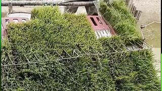 Gasoline Remote Control Robot Lawn Mower For Garden