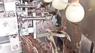 Best machine Fruit Fruit