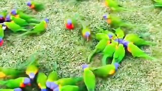 Beauties of Nature|Beautiful palaces