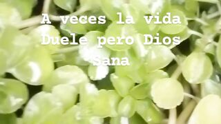 Dios es grande