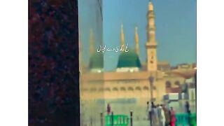 So beautiful and very cute video