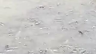 Stok ikan lele untuk panen nanti setelah LEBARAN