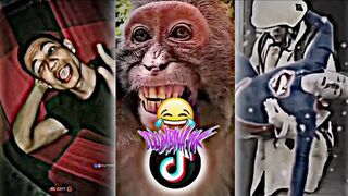 BEST MEMES EDITS TIKTOK MEMES FUNNY MOMMENT
