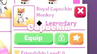 Making ????????ROYAL CAPUCHIN MONKEY NEON⭐️ in Adopt Me!