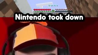 SmallAnt explains why Nintendo striked PointCrow