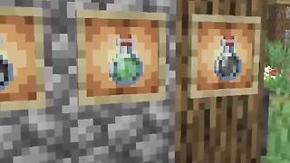 NEW POTIONS IN MINECRAFT