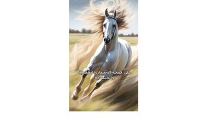 أهمية ركوب الخيل وكيف يمكن أن تكون تجربة .