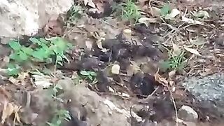 Welcome back, aryankhan777! You can find your wallet balances and recent transactions here.