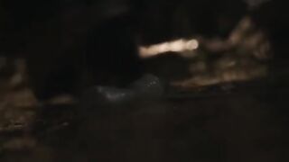 Parasyte- The Grey (2024)