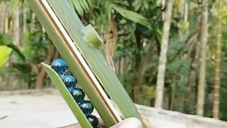 New toy Slingshots #crafts #diy