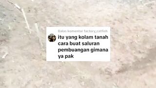 Cara membuat DRAINASE pembuangan air kolam TANAH & 3 Manfaat adanya DRAINASE pembuangan air dikolam TANAH