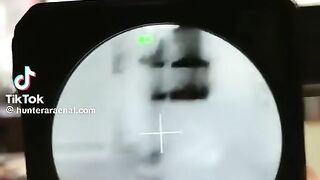 Holographic thermal imaging